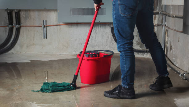 Best Water damage restoration near me  in New Stanton, PA