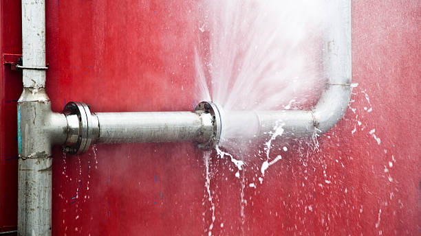 Best Carpet water damage restoration  in New Stanton, PA